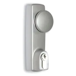 Outside Access Device With Fixed Knob
