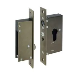 Sliding Door Lock With Hold Back - 12/24V DC